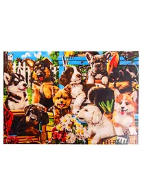 Купить Набор д/творчества Рыжий кот Палитра. Холст с красками 40х50см по номер. в кор. (20 цв.) Щенки на природе ХК-5880 — Фото №1