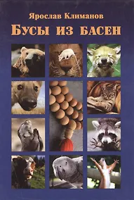 Купить Бусы из басен — Фото №1