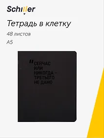 Купить Тетрадь 48л кл. "Сейчас или никогда-третьего не дано" дизайн.тонир. картон, Schiller — Фото №1