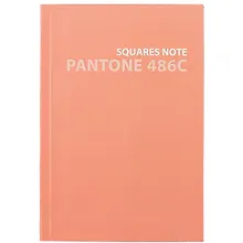 Купить Записная книжка А6+ 80л кл. "Pantone line. 5" интегр.переплет, мат.ламинация, выб.лак, пантон.печать — Фото №1