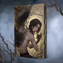 Купить Песнь Сорокопута (коллекционное издание) — Фото №1