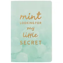 Купить Тетрадь в клетку Languo, Mint, 40 листов, в ассортименте — Фото №1