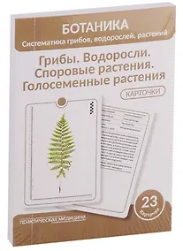 Купить Ботаника. Систематика грибов, водорослей, растений. Грибы. Водоросли. Споровые растения. Голосеменные растения. 23 карточки — Фото №1