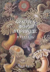 Купить Красота форм в природе. Э. Геккель — Фото №1