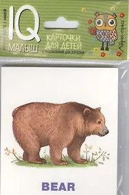 Купить Умный малыш. ENGLISH. Зоопарк — Фото №1