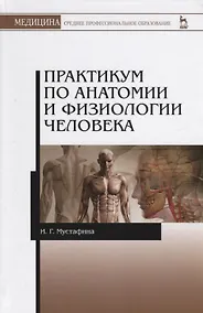 Купить Практикум по анатомии и физиологии человека. Учебное пособие — Фото №1