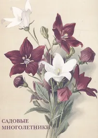 Купить Садовые многолетники Набор открыток (упаковка) — Фото №1