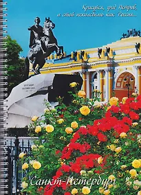 Купить Тетрадь в клетку "СПб", А4, 80 листов, в ассортименте — Фото №1