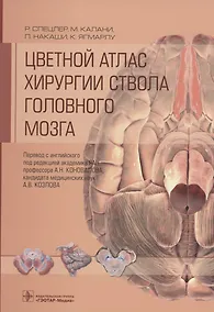 Купить Цветной атлас хирургии ствола головного мозга — Фото №1