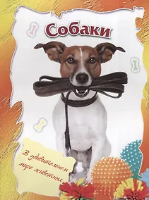 Купить Собаки — Фото №1