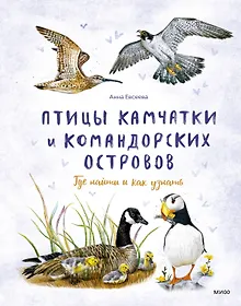 Купить Птицы Камчатки и Командорских островов. Где найти и как узнать — Фото №1