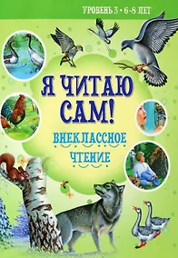 Купить Внеклассное чтение — Фото №1