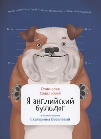 Купить Я английский бульдог — Фото №1
