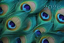 Купить Календарь квартальный 2026г 305*680 "Перья" настенный, трёхблочный, спираль — Фото №1