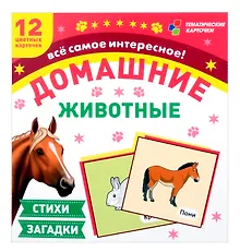 Купить Домашние животные. Все самое интересное! Стихи, загадки. Набор из 12 цветных карточек для занятий с детьми — Фото №1
