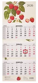 Купить Календарь квартальный 2026г 297*695 "Ботаника" настенный, трёхблочный, спираль — Фото №1