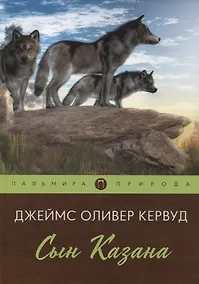 Купить Сын Казана: повесть — Фото №1