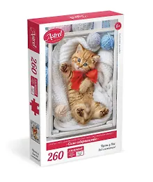 Купить Пазл Astrel "Само совершенство", 260 элементов — Фото №1