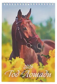 Купить Календарь 2026г 170*250 "Год Лошади. Вид 2" настенный, на спирали — Фото №1