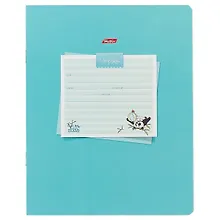 Купить Тетрадь в клетку Hatber, "Маленькие панды", 12 листов, в ассортименте — Фото №1