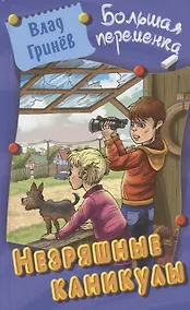 Купить Незряшные каникулы. Повесть — Фото №1