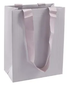 Купить Пакет А5 23*18*10 "Silver" — Фото №1