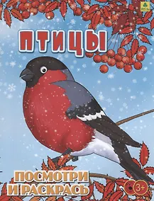 Купить Птицы. Посмотри и раскрась — Фото №1