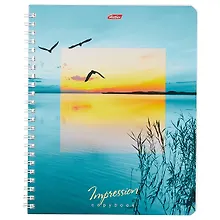 Купить Тетрадь в клетку Hatber, Impressions, 80 листов, в ассортименте — Фото №1