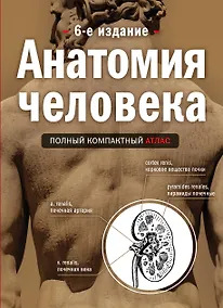 Купить Анатомия человека: полный компактный атлас. 6-е издание — Фото №1