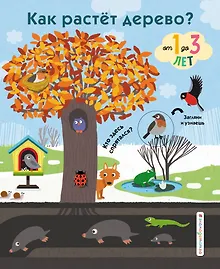 Купить Как растет дерево? — Фото №1