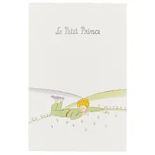 Купить Скетчбук «Маленький Принц на планете», 120 листов — Фото №1