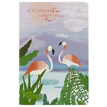 Купить Тетрадь в линейку Flamingos, А5, 38 листов, в ассортименте — Фото №1