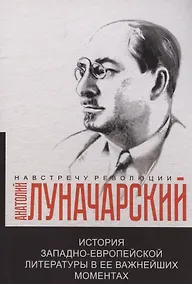 Купить История западно-европейской литературы в ее важнейших моментах — Фото №1