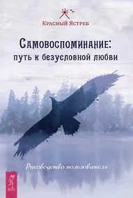 Купить Самовоспоминание: путь к безусловной любви. Руководство пользователя — Фото №1