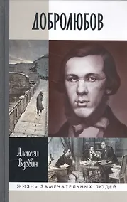 Купить Добролюбов: разночинец между духом и плотью — Фото №1