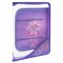 Купить Папка для труда А4 "ДЕВОЧКА НА РОЛИКАХ" 32,8*22,8см, пластиковая, молния с 3х сторон, внутр.блок для канц.принадлежностей — Фото №1