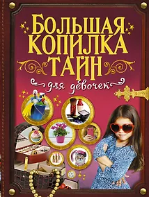 Купить Большая копилка тайн для девочек — Фото №1