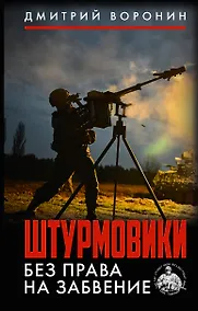 Купить Штурмовики. Без права на забвение — Фото №1