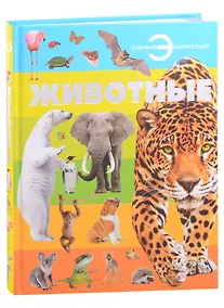 Купить Животные — Фото №1