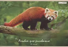 Купить Альбом для рисования Listoff, "Красная панда", А4, 30 листов, на скрепке — Фото №1