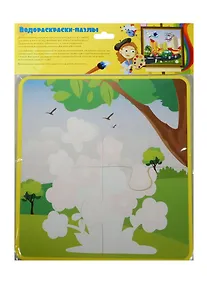 Купить Водораскраски-пазлы Цветы (PR1018) (220х220мм) (0+) (упаковка) — Фото №1