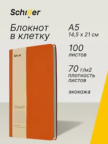 Купить Книга для записей А5 100л кл. оранжевый, интегр., тонир.блок, резинка, ляссе, Schiller — Фото №1