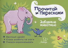 Купить Забавные животные — Фото №1