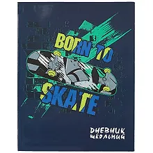 Купить Дневник школьный Феникс+, "Скейтбординг" — Фото №1