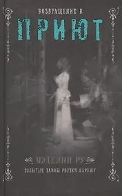 Купить Возвращение в Приют — Фото №1