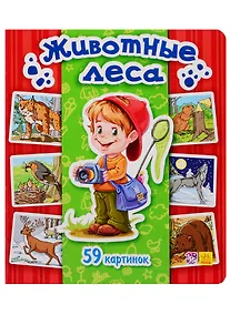 Купить Животные леса. 59 картинок — Фото №1