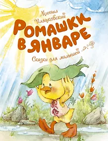 Купить Ромашки в январе — Фото №1