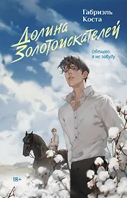 Купить Долина золотоискателей — Фото №1