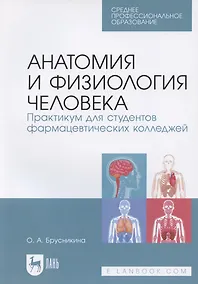 Купить Анатомия и физиология человека. Практикум для студентов фармацевтических колледжей — Фото №1