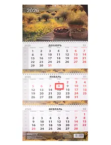 Купить Календарь квартальный 2026г 297*695 "Сады Прованса" настенный, трёхблочный, спираль — Фото №1